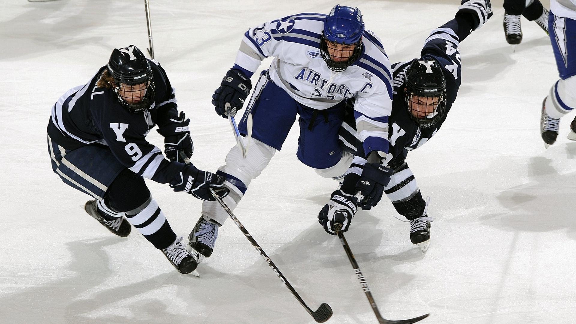 体育新闻中心协办全国体育数字内容技术交流大会，体育数字化